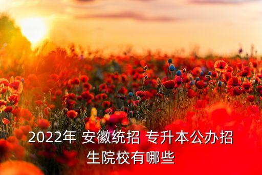 2022年 安徽統(tǒng)招 專(zhuān)升本公辦招生院校有哪些