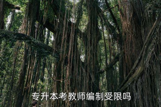  專升本考教師編制受限嗎