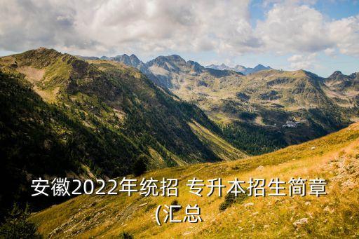 安徽2022年統(tǒng)招 專(zhuān)升本招生簡(jiǎn)章(匯總