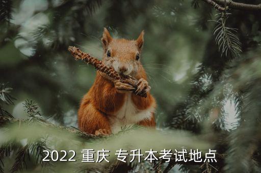 2022 重慶 專升本考試地點