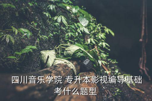  四川音樂(lè)學(xué)院 專(zhuān)升本影視編導(dǎo)基礎(chǔ)考什么題型