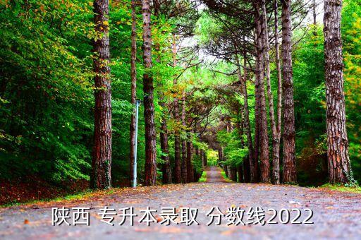 陜西藥學專升本分數(shù)線,2022年山東藥學專升本分數(shù)線