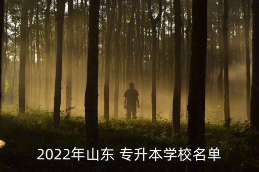 2022年山東 專升本學(xué)校名單