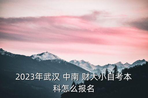 2023年武漢 中南 財大小自考本科怎么報名