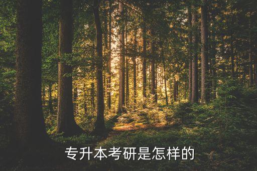  專升本考研是怎樣的