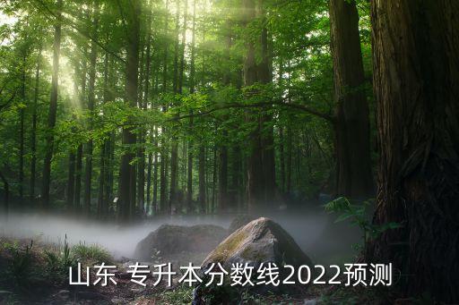 山東 專升本分?jǐn)?shù)線2022預(yù)測