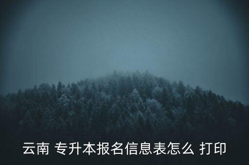 云南 專升本報(bào)名信息表怎么 打印