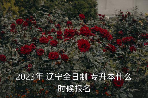 2023年 遼寧全日制 專升本什么時候報名