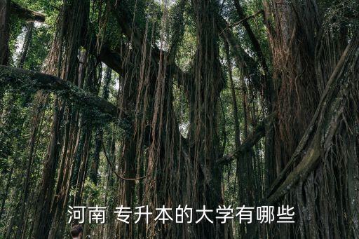 河南普通專升本招生院校,河南專升本招生院校與專業(yè)查詢2023