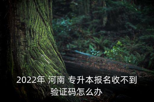 2022年 河南 專升本報名收不到驗證碼怎么辦