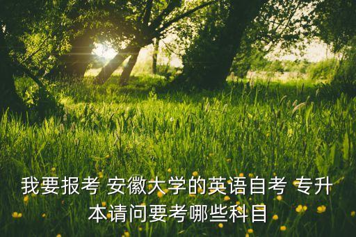 我要報考 安徽大學(xué)的英語自考 專升本請問要考哪些科目