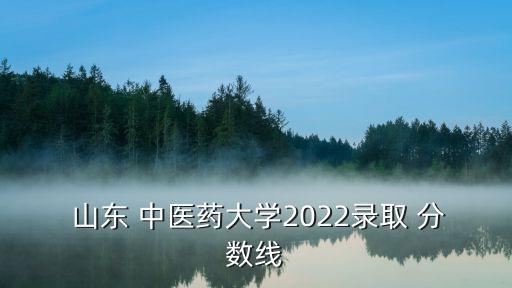  山東 中醫(yī)藥大學2022錄取 分數(shù)線