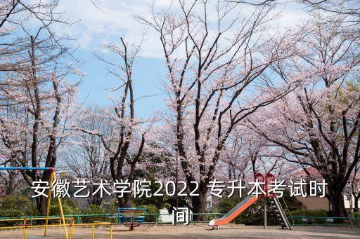 安徽藝術(shù)學(xué)院2022 專升本考試時(shí)間