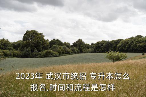 2023年 武漢市統(tǒng)招 專升本怎么報(bào)名,時(shí)間和流程是怎樣