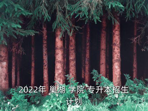 2022年 巢湖 學(xué)院 專升本招生計(jì)劃