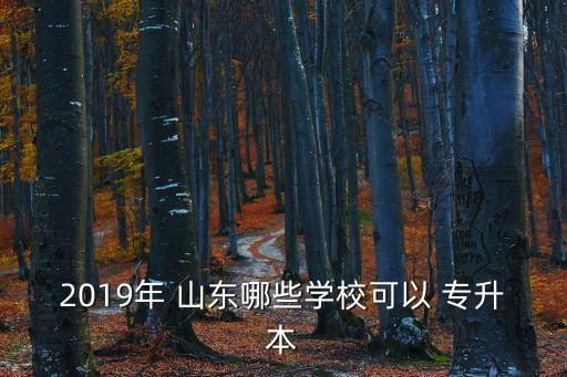 2019年 山東哪些學(xué)校可以 專升本