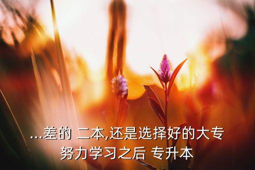 ...差的 二本,還是選擇好的大專努力學(xué)習(xí)之后 專升本