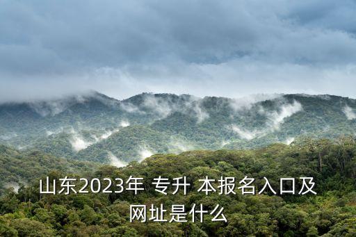 山東2023年 專升 本報名入口及網(wǎng)址是什么