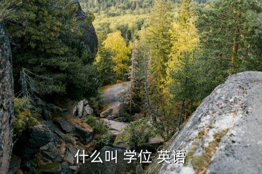 什么叫 學(xué)位 英語(yǔ)