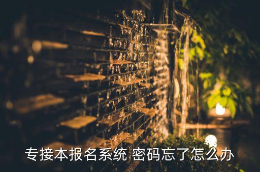 專接本報名系統(tǒng) 密碼忘了怎么辦