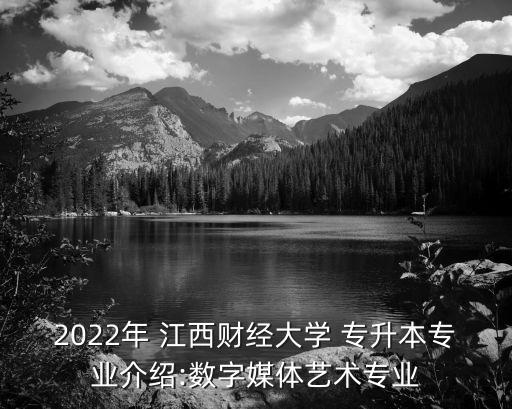 2022年 江西財經(jīng)大學(xué) 專升本專業(yè)介紹:數(shù)字媒體藝術(shù)專業(yè)