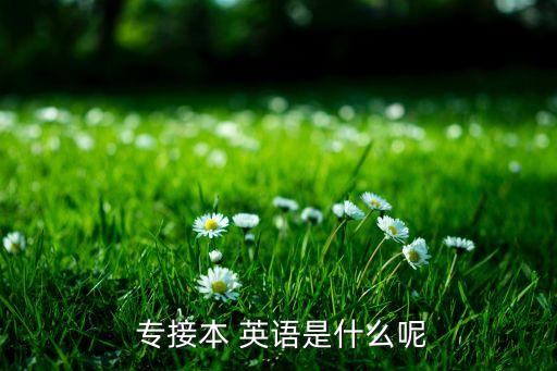  專接本 英語(yǔ)是什么呢