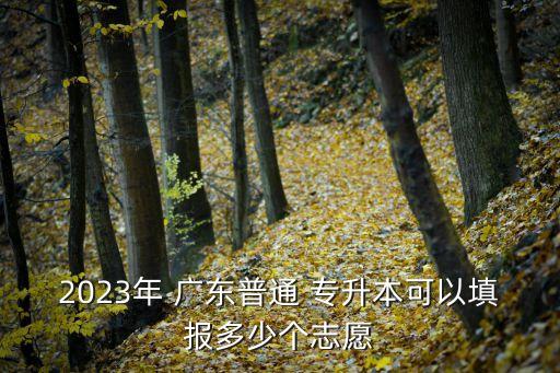 2023年 廣東普通 專升本可以填報(bào)多少個(gè)志愿