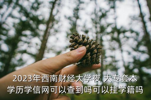 2023年西南財經(jīng)大學夜 大專套本學歷學信網(wǎng)可以查到嗎可以掛學籍嗎