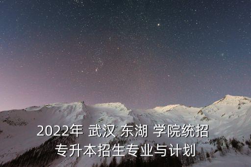 2022年 武漢 東湖 學院統(tǒng)招 專升本招生專業(yè)與計劃