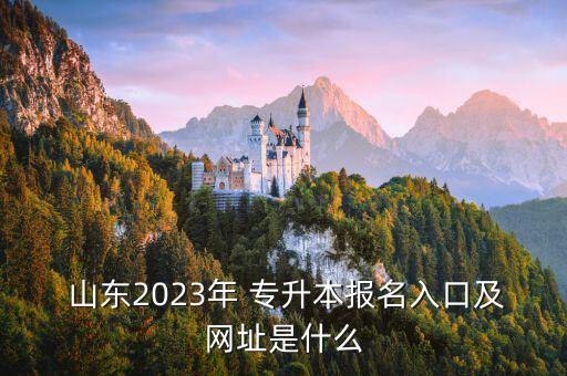  山東2023年 專升本報名入口及網(wǎng)址是什么