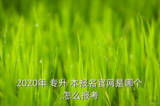 2020年 專升 本報名官網(wǎng)是哪個,怎么報考