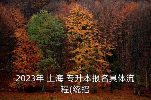 2023年 上海 專升本報名具體流程(統(tǒng)招