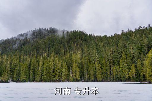  河南 專升本