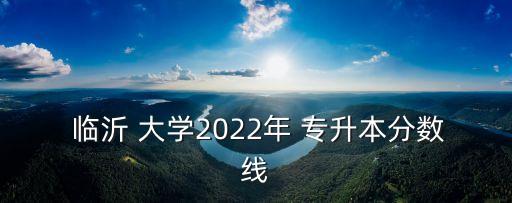  臨沂 大學(xué)2022年 專升本分數(shù)線