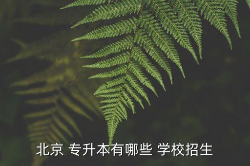 2018數(shù)字媒體專升本學(xué)校,河南數(shù)字媒體藝術(shù)設(shè)計(jì)專升本有哪些學(xué)校