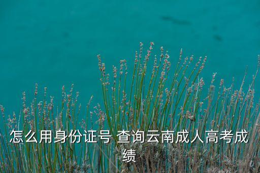 怎么用身份證號(hào) 查詢(xún)?cè)颇铣扇烁呖汲煽?jī)