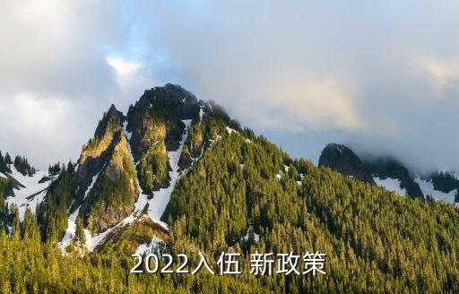 2022入伍 新政策