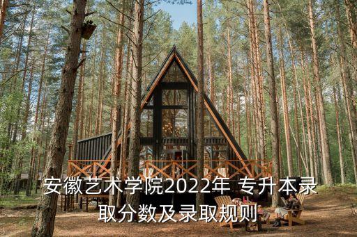  安徽藝術學院2022年 專升本錄取分數(shù)及錄取規(guī)則