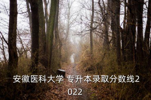  安徽醫(yī)科大學(xué) 專升本錄取分?jǐn)?shù)線2022