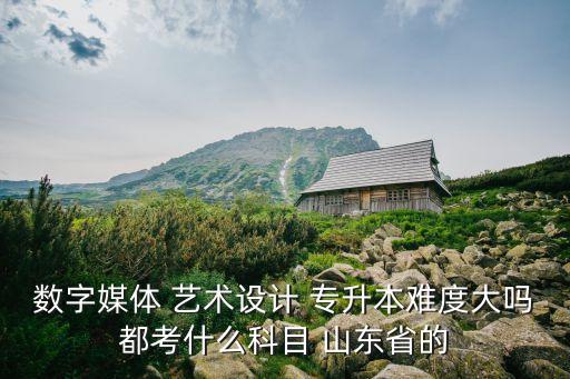 數(shù)字媒體 藝術(shù)設(shè)計 專升本難度大嗎都考什么科目 山東省的