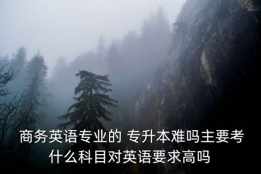 民航商務專升本考什么區(qū)別,民航專升本可以報什么專業(yè)