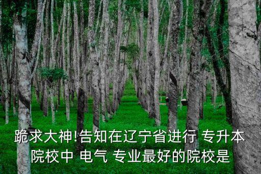 跪求大神!告知在遼寧省進行 專升本院校中 電氣 專業(yè)最好的院校是