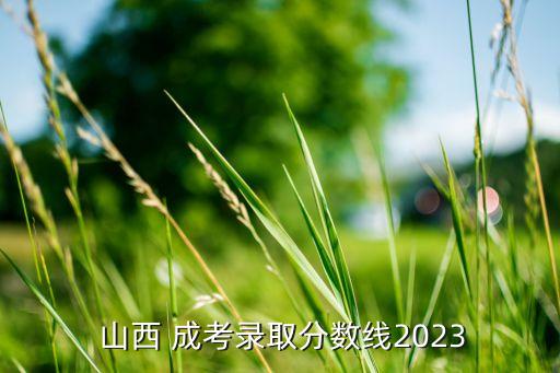  山西 成考錄取分數(shù)線2023