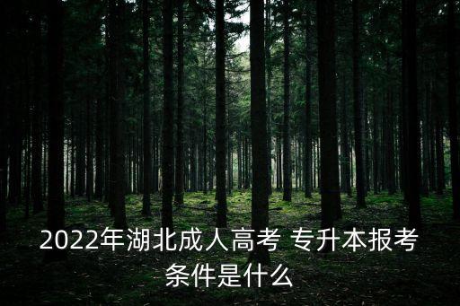 2022年湖北成人高考 專升本報(bào)考條件是什么