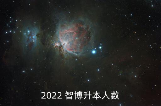 2022 智博升本人數(shù)