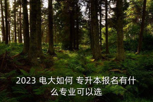 2023 電大如何 專升本報(bào)名有什么專業(yè)可以選