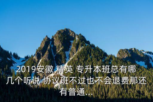 2019安徽 精英 專升本班總有哪幾個(gè)聽說 協(xié)議班不過也不會退費(fèi)那還有普通...