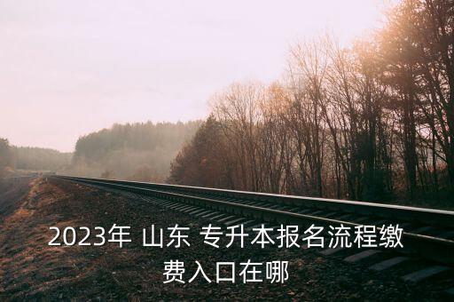 2023年 山東 專升本報(bào)名流程繳費(fèi)入口在哪