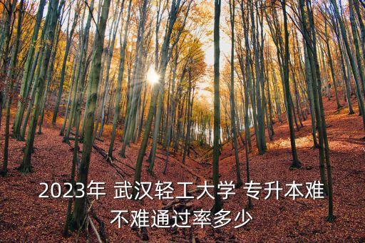 2023年 武漢輕工大學(xué) 專升本難不難通過率多少