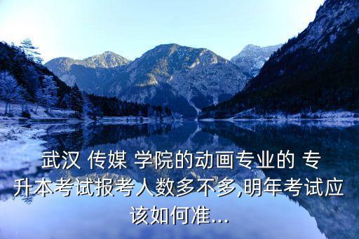  武漢 傳媒 學院的動畫專業(yè)的 專升本考試報考人數(shù)多不多,明年考試應該如何準...